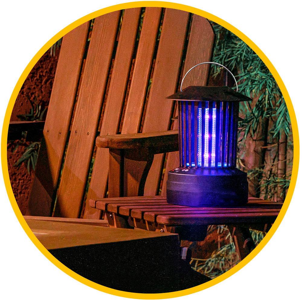 Pest Control & Bug Zappers