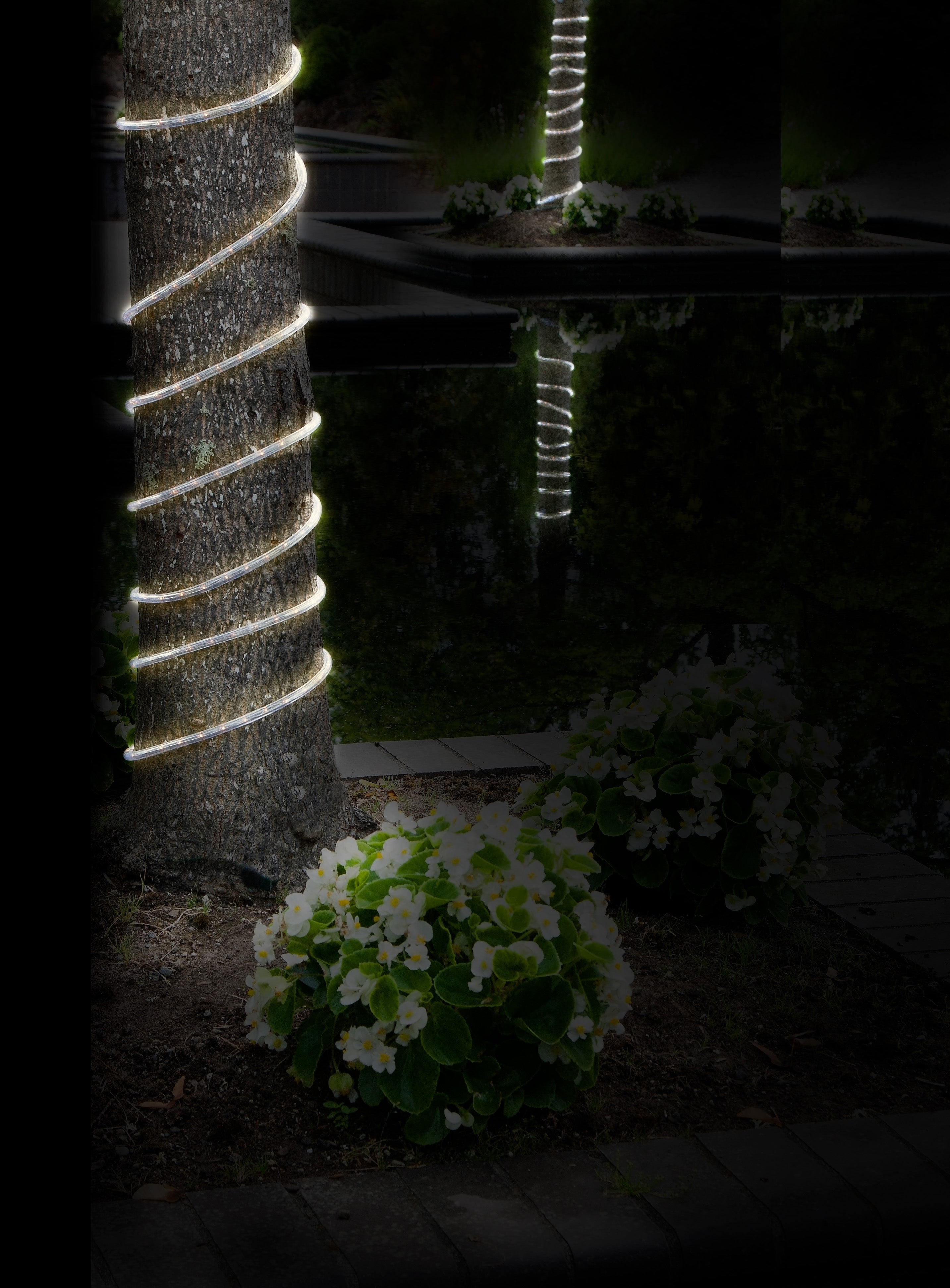 Bell + Howell 50' Bionic Color Changing Solar Powered Rope Lights - 50 FEET