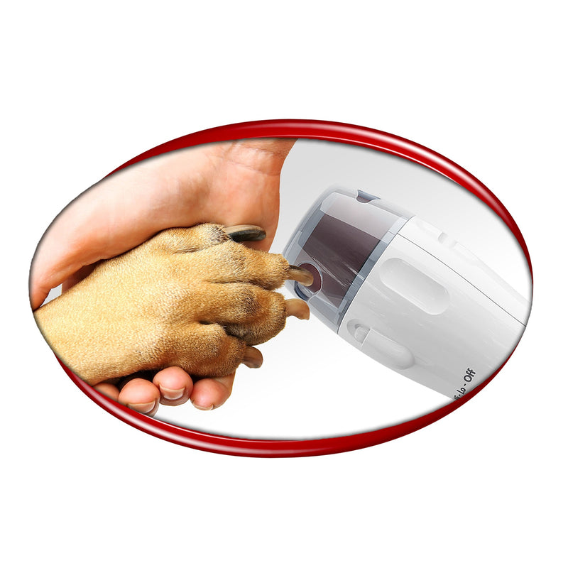 Paw Perfect Pet Ultimate Pet Care Bundle