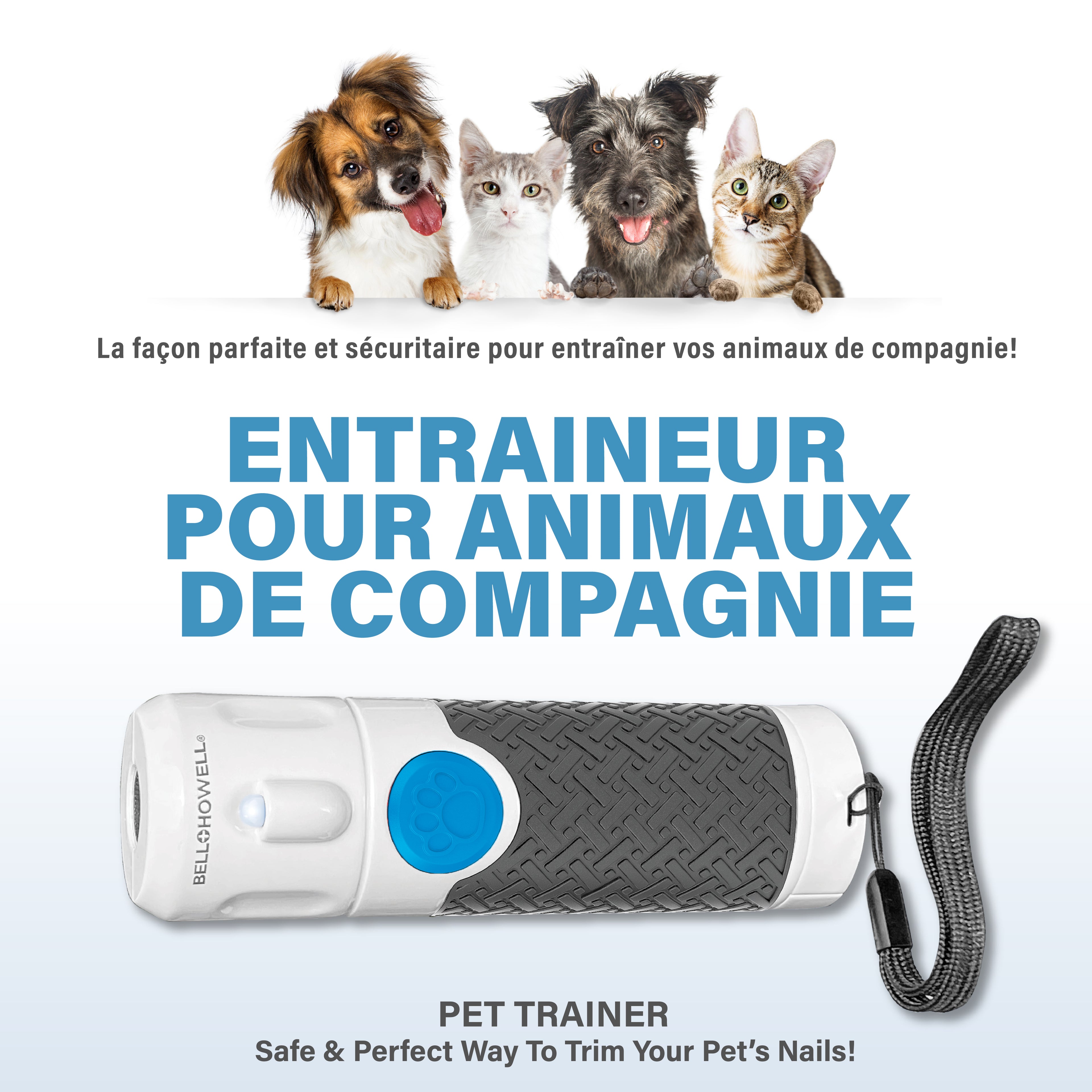 Paw Perfect Pet Trainer