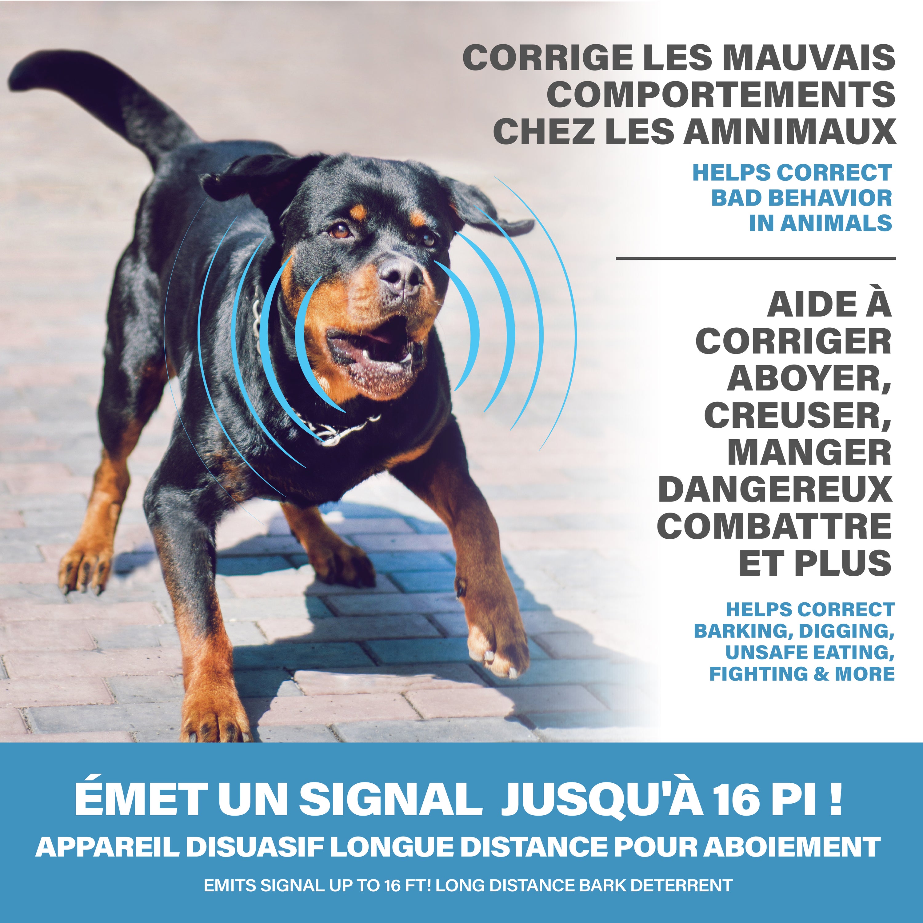 Paw Perfect Pet Trainer