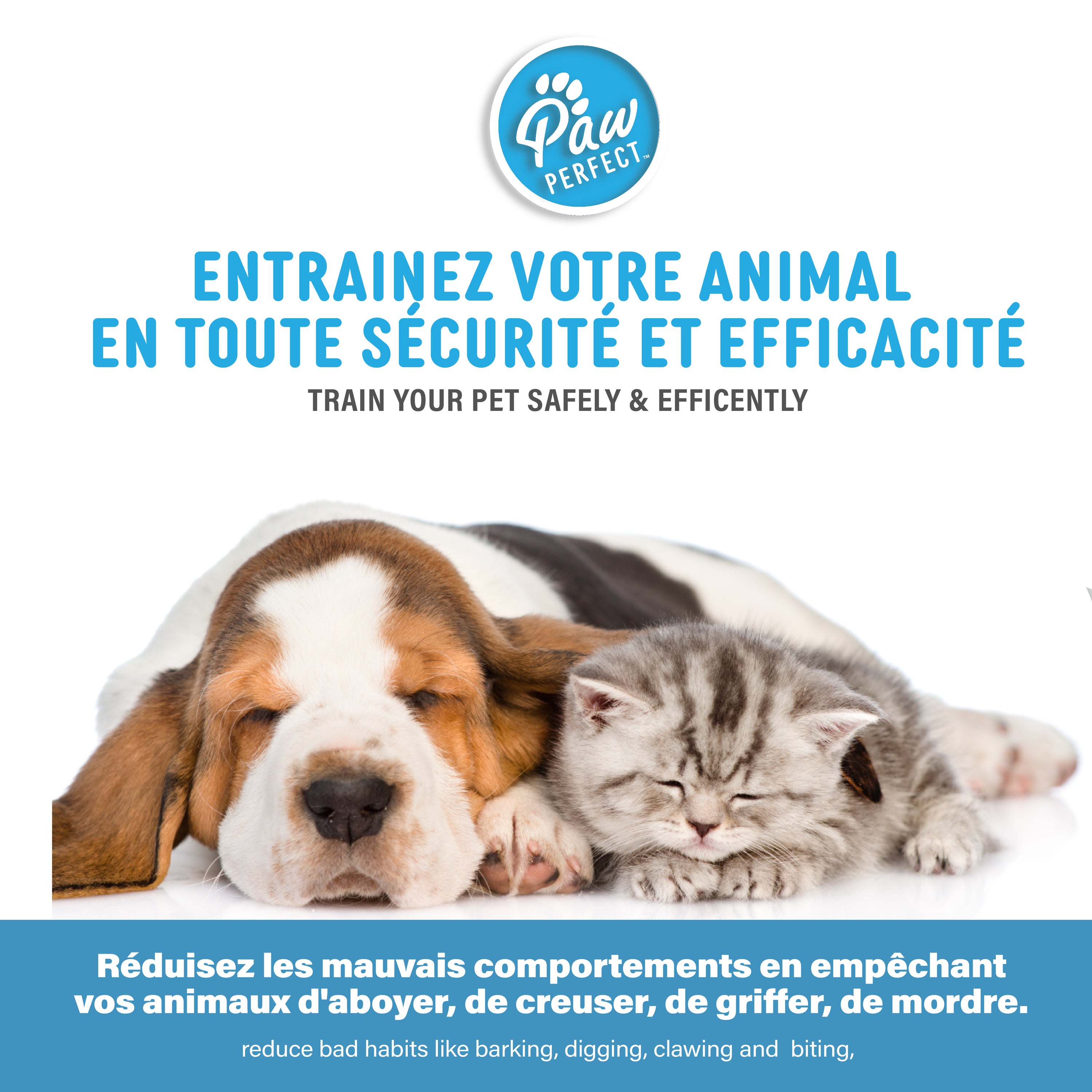 Paw Perfect Pet Trainer