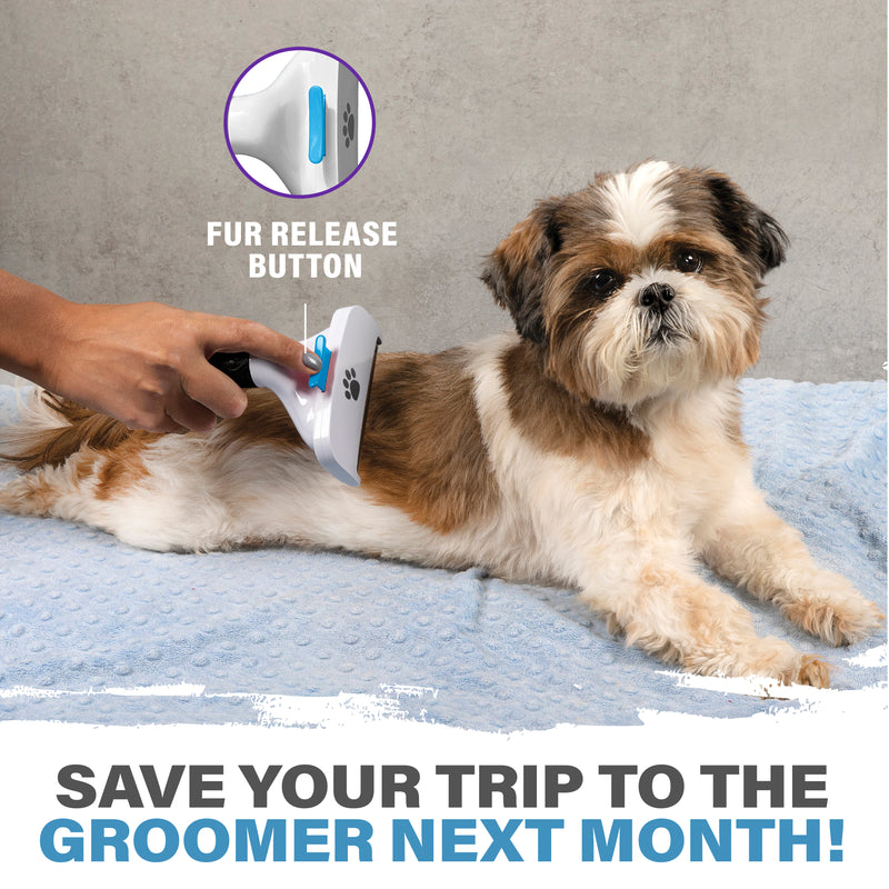 Paw Perfect Pet Grooming Brush