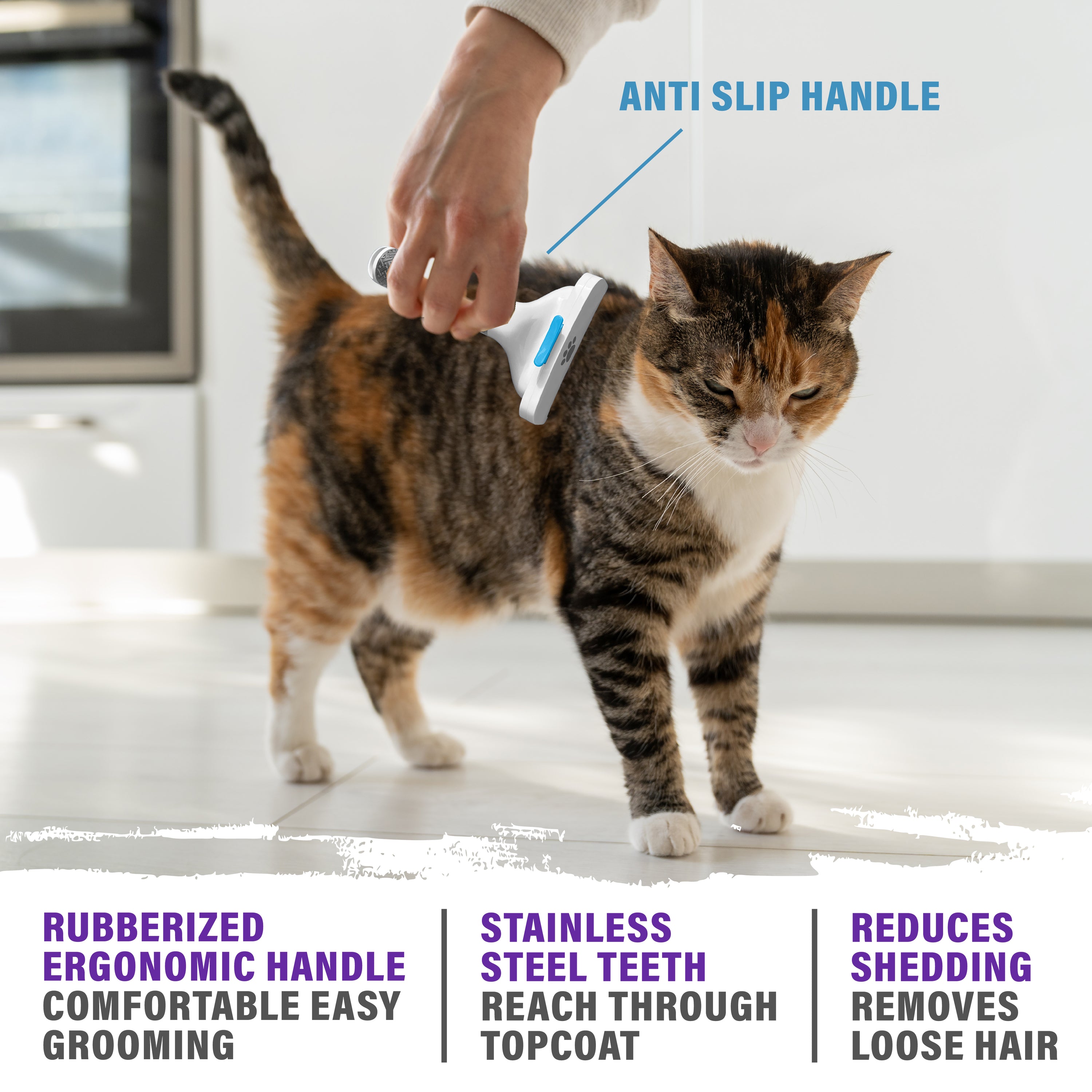 Paw Perfect Pet Grooming Brush