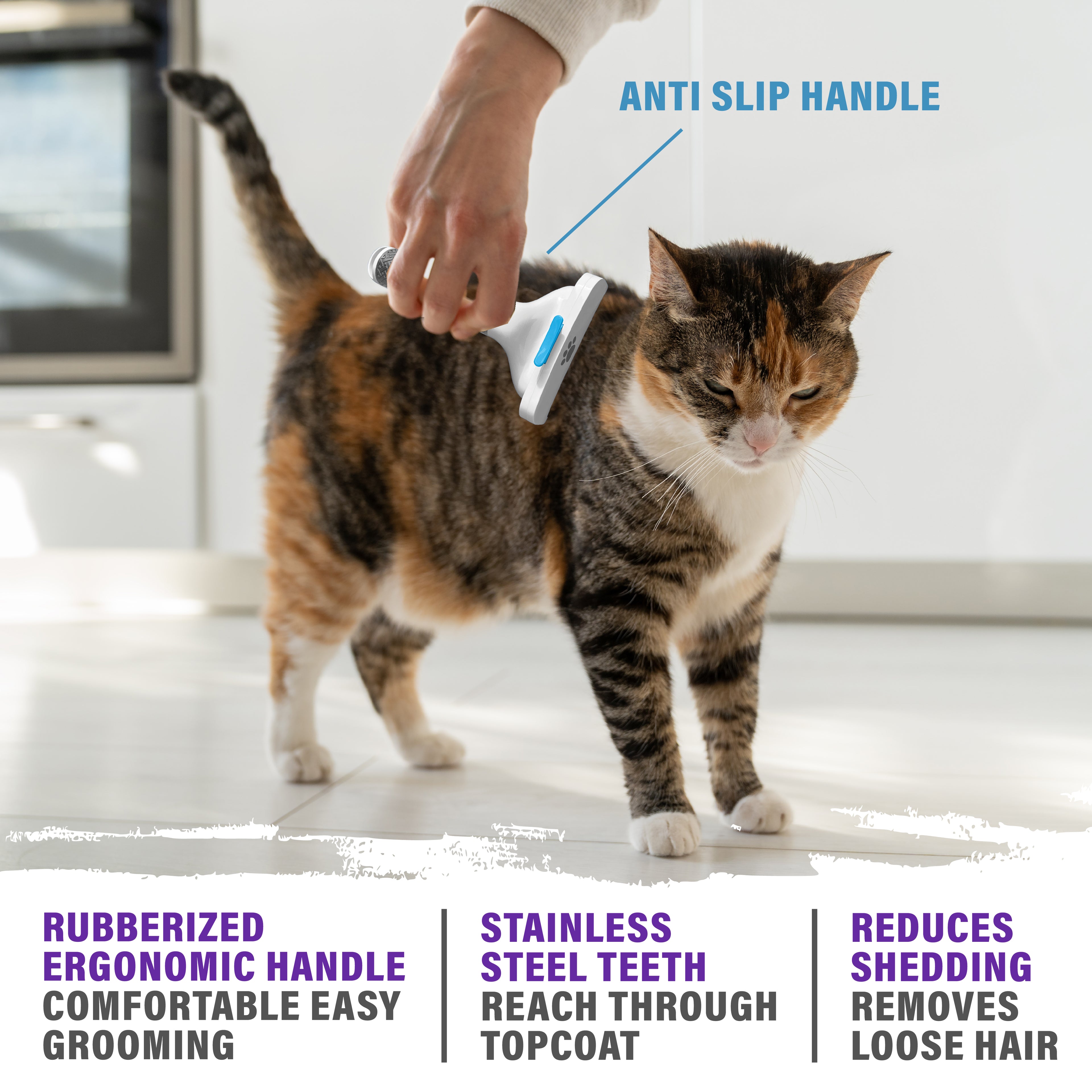 Paw Perfect Pet Grooming Brush