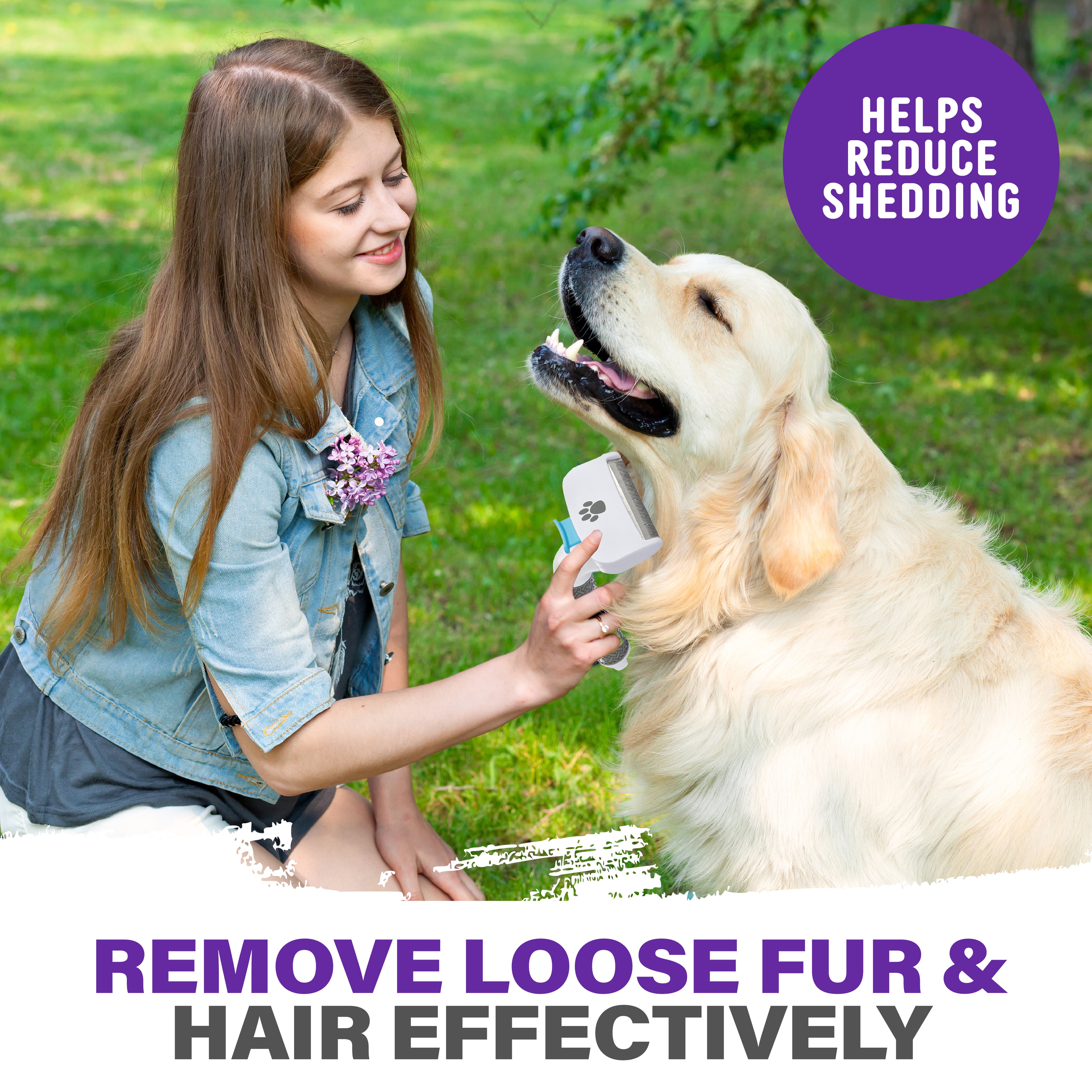 Paw Perfect Pet Grooming Brush