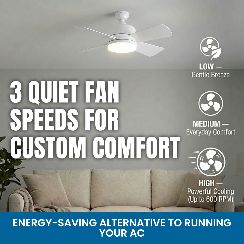SocketFan Ceiling Fan