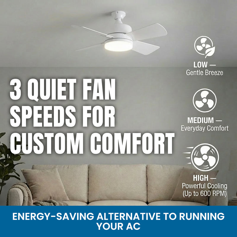 SocketFan Ceiling Fan
