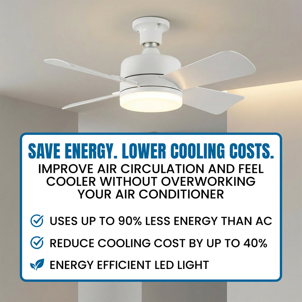 SocketFan Ceiling Fan