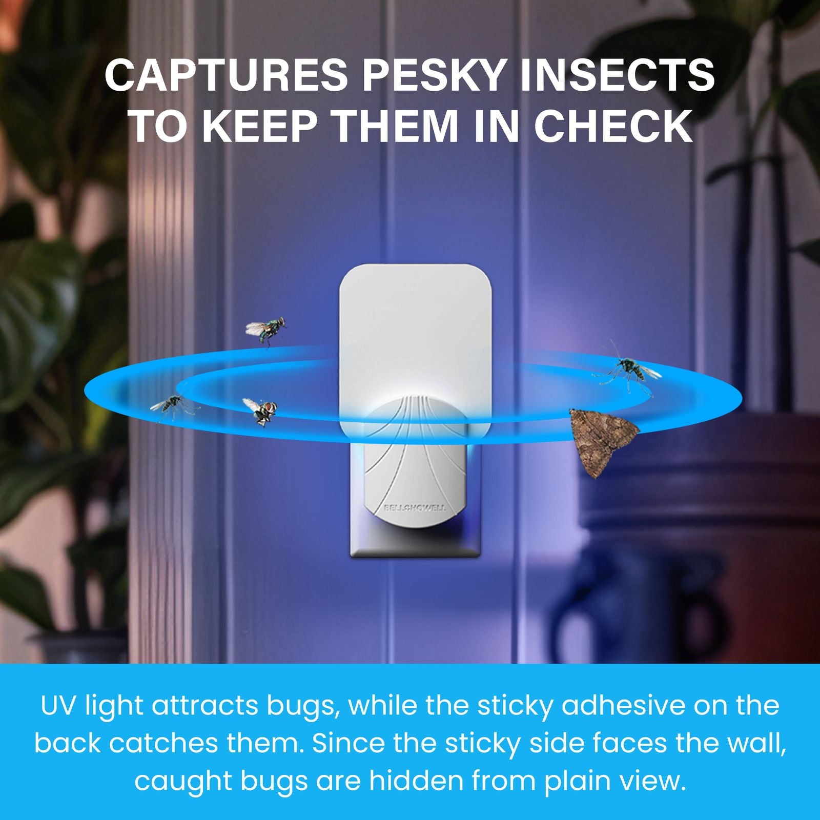 Rogue Fly Insect Trap Indoor with Night Light and 3 Cartridges, Plug in Bug Catcher, Pest Repeller Indoor Bug Light Trap Indoor for Flies, Fruit Flies, Gnats and More, Odor Free