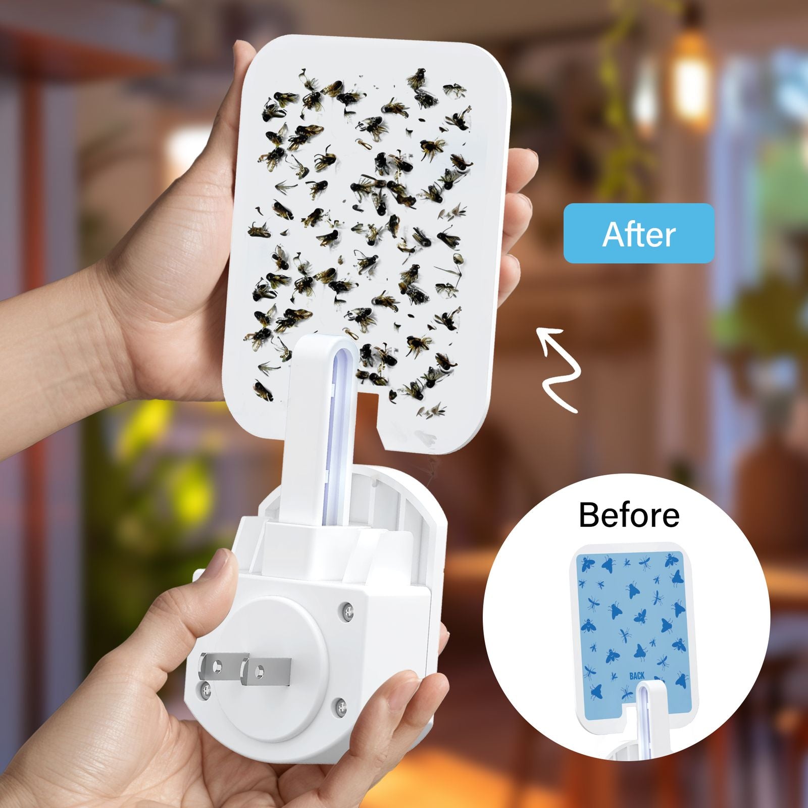 Rogue Fly Insect Trap Indoor with Night Light and 3 Cartridges, Plug in Bug Catcher, Pest Repeller Indoor Bug Light Trap Indoor for Flies, Fruit Flies, Gnats and More, Odor Free