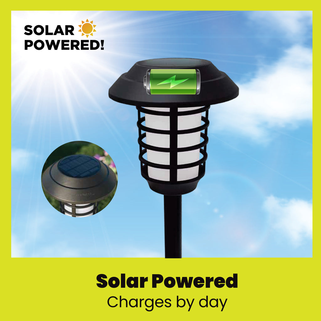 Bell + Howell Smart Solar Pathway Lights with Remote Control- 4 Pack