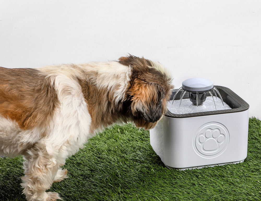 Paw Perfect Pet Water Fountain