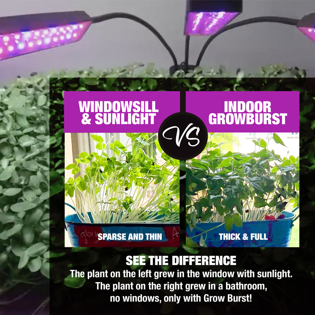 Bionic Grow Light - 2, 3 and 4-Head Adjustable Full Spectrum LED Grow Lamps with Timer